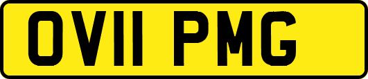 OV11PMG
