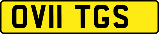 OV11TGS