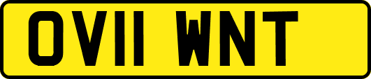 OV11WNT