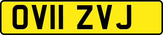 OV11ZVJ