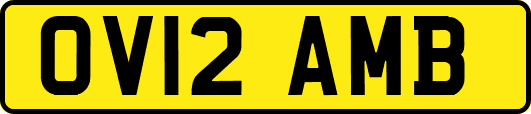OV12AMB