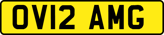 OV12AMG