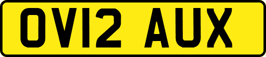 OV12AUX