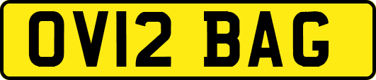 OV12BAG