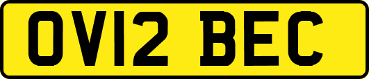 OV12BEC