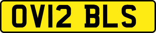 OV12BLS