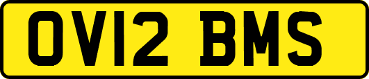 OV12BMS