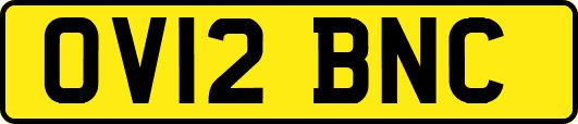 OV12BNC