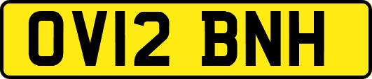 OV12BNH