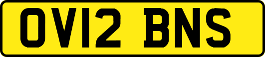 OV12BNS