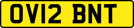 OV12BNT
