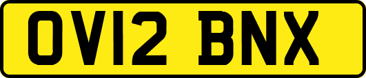 OV12BNX