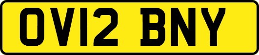 OV12BNY