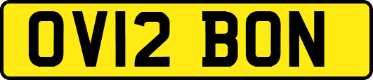 OV12BON