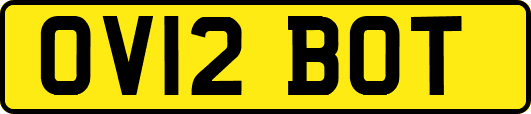 OV12BOT