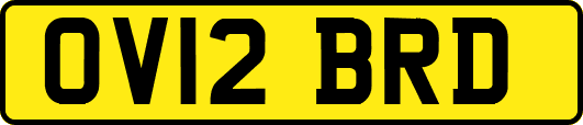 OV12BRD