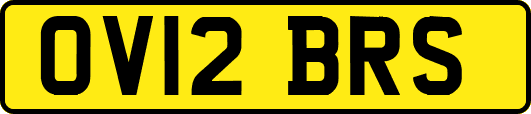 OV12BRS