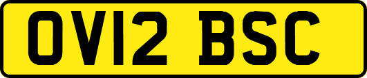OV12BSC