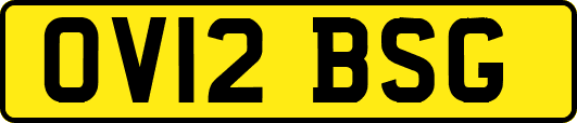 OV12BSG