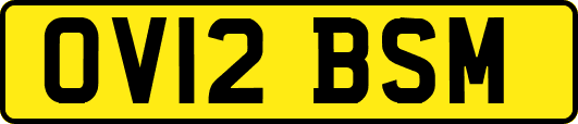 OV12BSM