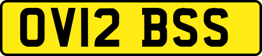OV12BSS