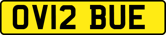 OV12BUE