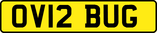 OV12BUG
