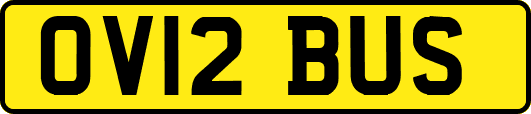 OV12BUS