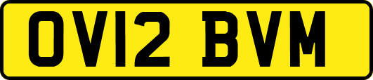 OV12BVM
