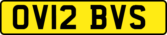 OV12BVS