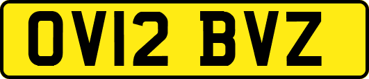 OV12BVZ