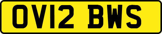 OV12BWS