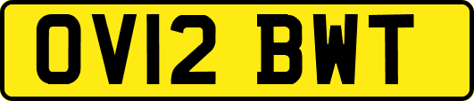 OV12BWT