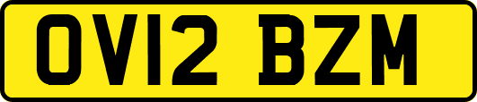 OV12BZM