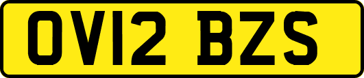 OV12BZS