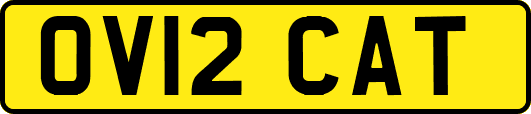 OV12CAT