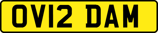 OV12DAM