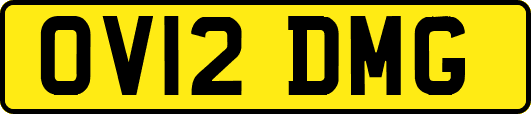 OV12DMG