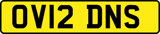 OV12DNS