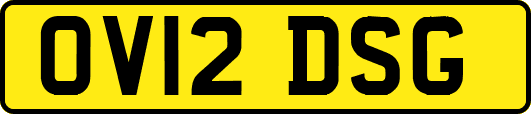 OV12DSG