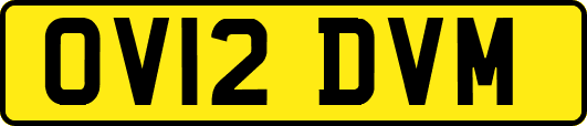 OV12DVM