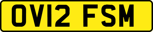 OV12FSM