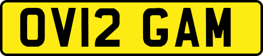 OV12GAM