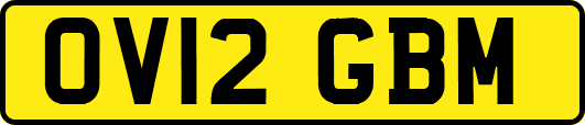 OV12GBM