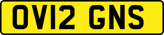 OV12GNS