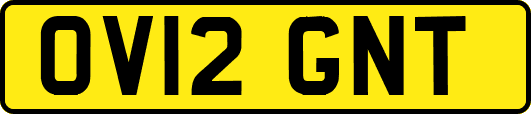 OV12GNT