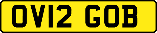 OV12GOB