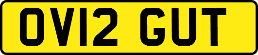 OV12GUT