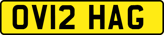 OV12HAG