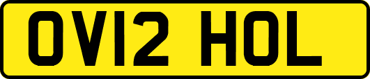OV12HOL